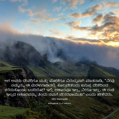 Picture 03 - ಅರಣ್ಯಕಾಂಡ 21:5 KANIRV - ಆಗ ಅವರು ದೇವರಿಗೂ - Bible Verse Picture