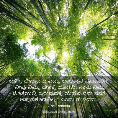 Picture 03 - ಅರಣ್ಯಕಾಂಡ 22:13 KANIRV - ಬೆಳಿಗ್ಗೆ ಬಿಳಾಮನು - Bible Verse Picture