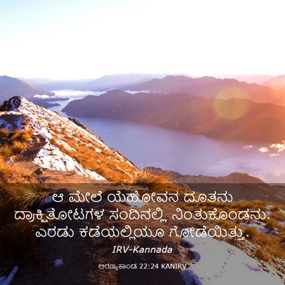 Picture 03 - ಅರಣ್ಯಕಾಂಡ 22:24 KANIRV - ಆ ಮೇಲೆ ಯೆಹೋವನ - Bible Verse Picture