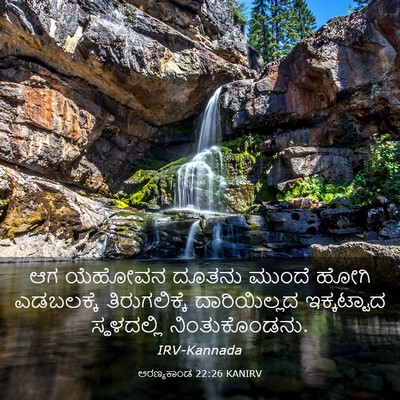 Picture 03 - ಅರಣ್ಯಕಾಂಡ 22:26 KANIRV - ಆಗ ಯೆಹೋವನ ದೂತನು - Bible Verse Picture
