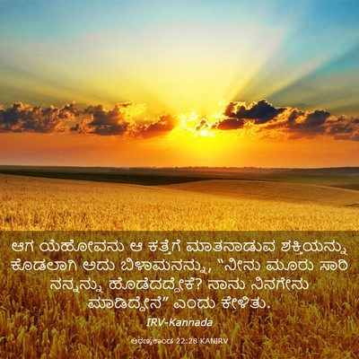 Picture 03 - ಅರಣ್ಯಕಾಂಡ 22:28 KANIRV - ಆಗ ಯೆಹೋವನು ಆ - Bible Verse Picture
