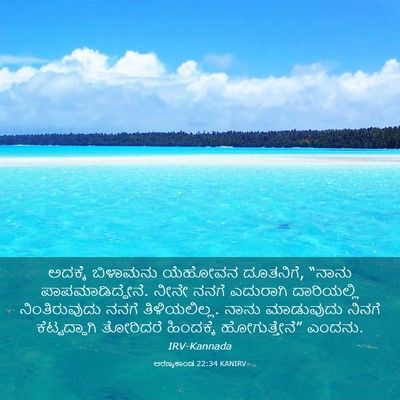 Picture 03 - ಅರಣ್ಯಕಾಂಡ 22:34 KANIRV - ಅದಕ್ಕೆ ಬಿಳಾಮನು - Bible Verse Picture