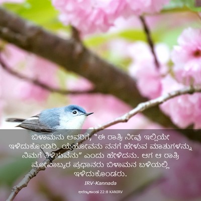 Picture 03 - ಅರಣ್ಯಕಾಂಡ 22:8 KANIRV - ಬಿಳಾಮನು ಅವರಿಗೆ, “ಈ - Bible Verse Picture