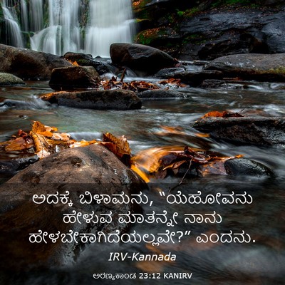 Picture 03 - ಅರಣ್ಯಕಾಂಡ 23:12 KANIRV - ಅದಕ್ಕೆ ಬಿಳಾಮನು, - Bible Verse Picture
