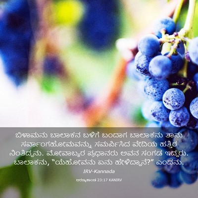 Picture 03 - ಅರಣ್ಯಕಾಂಡ 23:17 KANIRV - ಬಿಳಾಮನು ಬಾಲಾಕನ - Bible Verse Picture