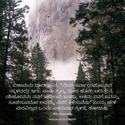 Picture 03 - ಅರಣ್ಯಕಾಂಡ 23:3 KANIRV - ಬಿಳಾಮನು - Bible Verse Picture