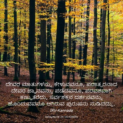 Picture 03 - ಅರಣ್ಯಕಾಂಡ 24:16 KANIRV - ದೇವರ ಮಾತುಗಳನ್ನು - Bible Verse Picture