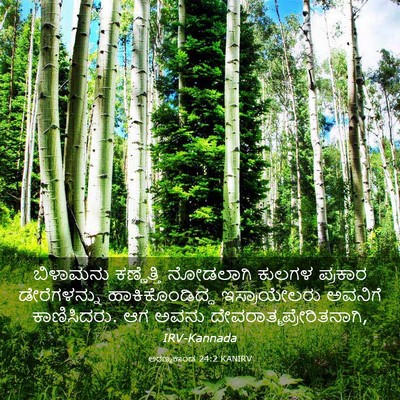Picture 03 - ಅರಣ್ಯಕಾಂಡ 24:2 KANIRV - ಬಿಳಾಮನು ಕಣ್ಣೆತ್ತಿ - Bible Verse Picture