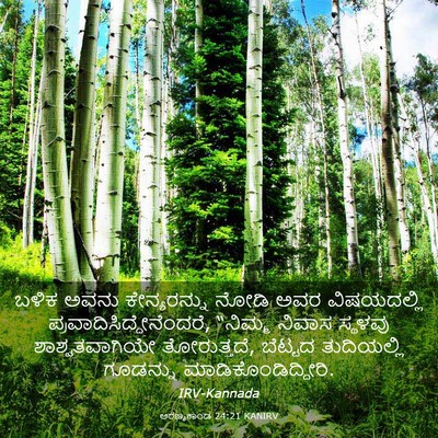 Picture 03 - ಅರಣ್ಯಕಾಂಡ 24:21 KANIRV - ಬಳಿಕ ಅವನು - Bible Verse Picture