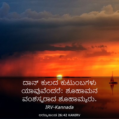 Picture 03 - ಅರಣ್ಯಕಾಂಡ 26:42 KANIRV - ದಾನ್ ಕುಲದ - Bible Verse Picture