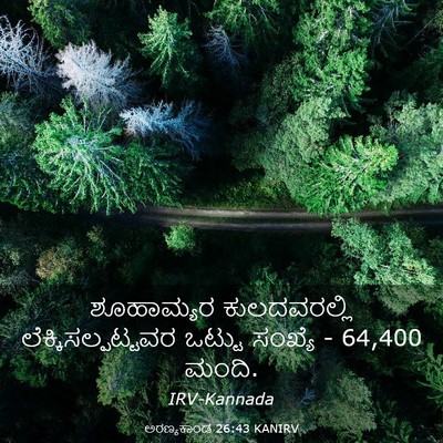 Picture 03 - ಅರಣ್ಯಕಾಂಡ 26:43 KANIRV - ಶೂಹಾಮ್ಯರ - Bible Verse Picture