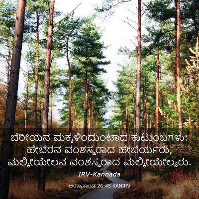 Picture 03 - ಅರಣ್ಯಕಾಂಡ 26:45 KANIRV - ಬೆರೀಯನ - Bible Verse Picture