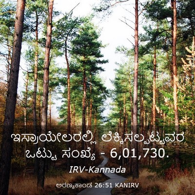 Picture 03 - ಅರಣ್ಯಕಾಂಡ 26:51 KANIRV - ಇಸ್ರಾಯೇಲರಲ್ಲಿ - Bible Verse Picture