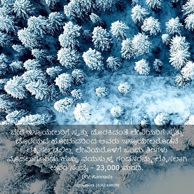 Picture 03 - ಅರಣ್ಯಕಾಂಡ 26:62 KANIRV - ಬೇರೆ ಇಸ್ರಾಯೇಲರಿಗೆ - Bible Verse Picture