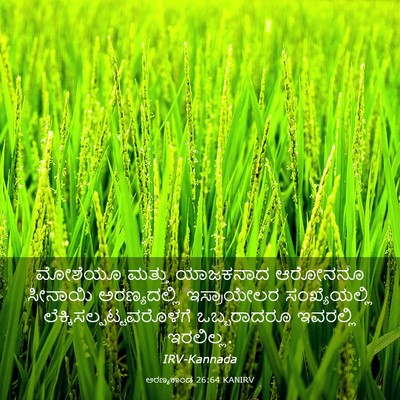 Picture 03 - ಅರಣ್ಯಕಾಂಡ 26:64 KANIRV - ಮೋಶೆಯೂ ಮತ್ತು - Bible Verse Picture