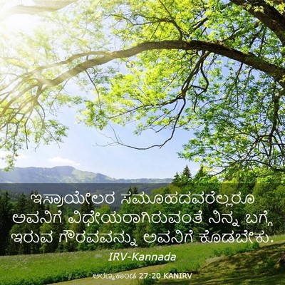 Picture 03 - ಅರಣ್ಯಕಾಂಡ 27:20 KANIRV - ಇಸ್ರಾಯೇಲರ - Bible Verse Picture