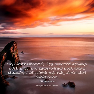 Picture 03 - ಅರಣ್ಯಕಾಂಡ 28:11 KANIRV - “‘ಪ್ರತಿ ತಿಂಗಳ - Bible Verse Picture