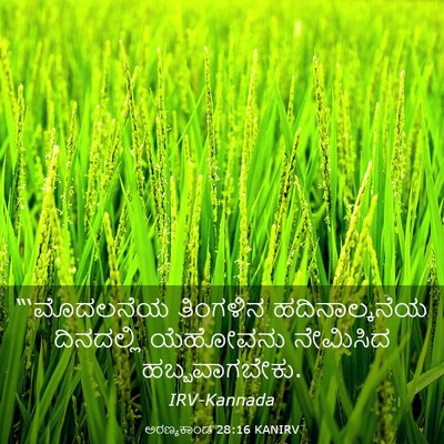 Picture 03 - ಅರಣ್ಯಕಾಂಡ 28:16 KANIRV - “‘ಮೊದಲನೆಯ ತಿಂಗಳಿನ - Bible Verse Picture