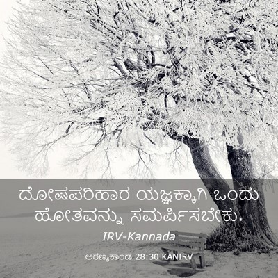 Picture 03 - ಅರಣ್ಯಕಾಂಡ 28:30 KANIRV - ದೋಷಪರಿಹಾರ - Bible Verse Picture