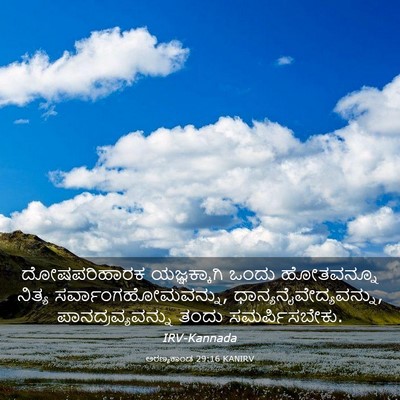 Picture 03 - ಅರಣ್ಯಕಾಂಡ 29:16 KANIRV - ದೋಷಪರಿಹಾರಕ - Bible Verse Picture