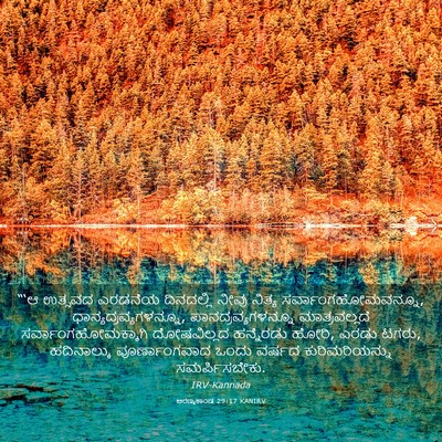 Picture 03 - ಅರಣ್ಯಕಾಂಡ 29:17 KANIRV - “‘ಆ ಉತ್ಸವದ ಎರಡನೆಯ - Bible Verse Picture
