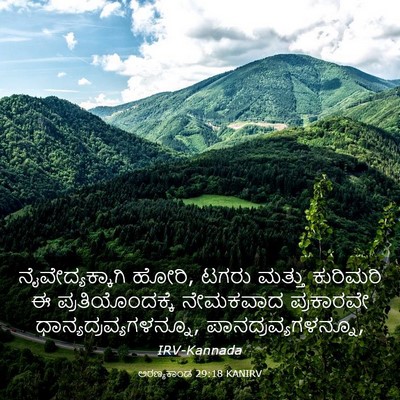 Picture 03 - ಅರಣ್ಯಕಾಂಡ 29:18 KANIRV - ನೈವೇದ್ಯಕ್ಕಾಗಿ - Bible Verse Picture