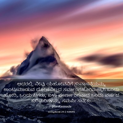 Picture 03 - ಅರಣ್ಯಕಾಂಡ 29:2 KANIRV - ಅದರಲ್ಲಿ ನೀವು - Bible Verse Picture