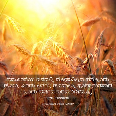 Picture 03 - ಅರಣ್ಯಕಾಂಡ 29:20 KANIRV - “‘ಮೂರನೆಯ ದಿನದಲ್ಲಿ - Bible Verse Picture