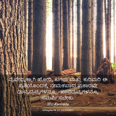 Picture 03 - ಅರಣ್ಯಕಾಂಡ 29:24 KANIRV - ನೈವೇದ್ಯಕ್ಕಾಗಿ - Bible Verse Picture