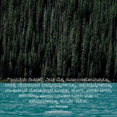 Picture 03 - ಅರಣ್ಯಕಾಂಡ 29:26 KANIRV - “‘ಐದನೆಯ ದಿನದಲ್ಲಿ - Bible Verse Picture
