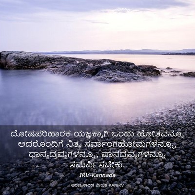 Picture 03 - ಅರಣ್ಯಕಾಂಡ 29:38 KANIRV - ದೋಷಪರಿಹಾರಕ - Bible Verse Picture