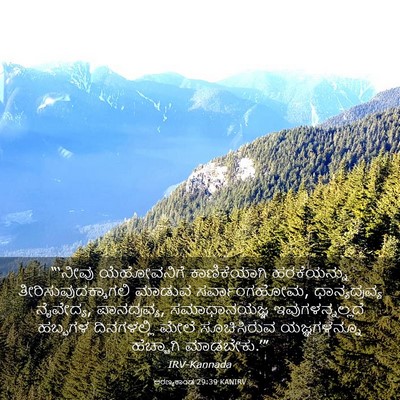 Picture 03 - ಅರಣ್ಯಕಾಂಡ 29:39 KANIRV - “‘ನೀವು ಯೆಹೋವನಿಗೆ - Bible Verse Picture