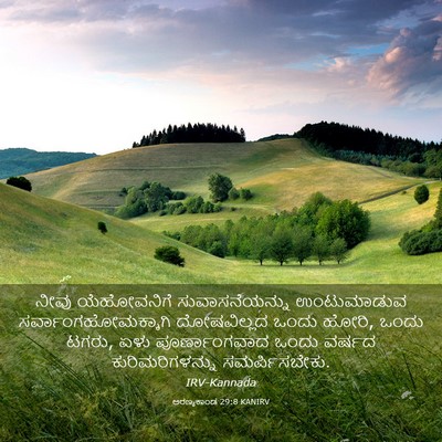 Picture 03 - ಅರಣ್ಯಕಾಂಡ 29:8 KANIRV - ನೀವು ಯೆಹೋವನಿಗೆ - Bible Verse Picture