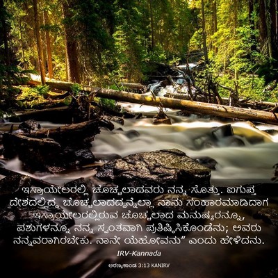Picture 03 - ಅರಣ್ಯಕಾಂಡ 3:13 KANIRV - ಇಸ್ರಾಯೇಲರಲ್ಲಿ - Bible Verse Picture