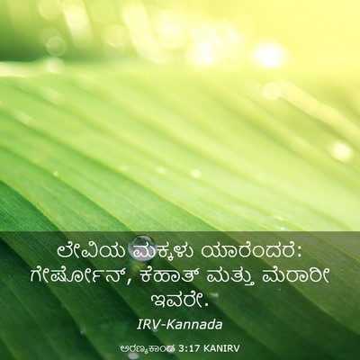 Picture 03 - ಅರಣ್ಯಕಾಂಡ 3:17 KANIRV - ಲೇವಿಯ ಮಕ್ಕಳು - Bible Verse Picture