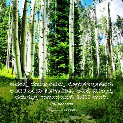 Picture 03 - ಅರಣ್ಯಕಾಂಡ 3:28 KANIRV - ಅವರಲ್ಲಿ - Bible Verse Picture