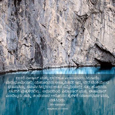 Picture 03 - ಅರಣ್ಯಕಾಂಡ 3:4 KANIRV - ಆದರೆ ನಾದಾಬ್ ಮತ್ತು - Bible Verse Picture