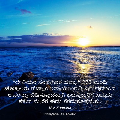 Picture 03 - ಅರಣ್ಯಕಾಂಡ 3:46 KANIRV - “ಲೇವಿಯರ - Bible Verse Picture