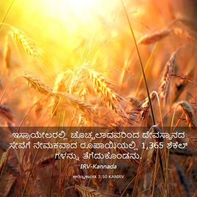 Picture 03 - ಅರಣ್ಯಕಾಂಡ 3:50 KANIRV - ಇಸ್ರಾಯೇಲರಲ್ಲಿ - Bible Verse Picture