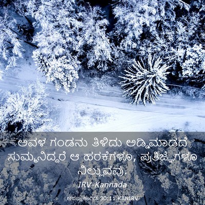 Picture 03 - ಅರಣ್ಯಕಾಂಡ 30:11 KANIRV - ಅವಳ ಗಂಡನು ತಿಳಿದು - Bible Verse Picture