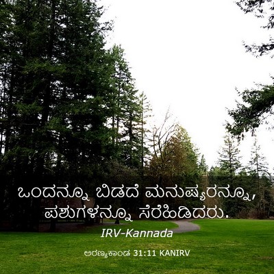 Picture 03 - ಅರಣ್ಯಕಾಂಡ 31:11 KANIRV - ಒಂದನ್ನೂ ಬಿಡದೆ - Bible Verse Picture