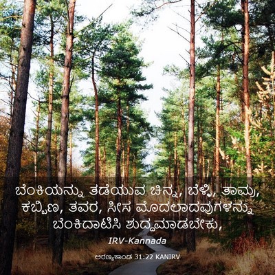 Picture 03 - ಅರಣ್ಯಕಾಂಡ 31:22 KANIRV - ಬೆಂಕಿಯನ್ನು ತಡೆಯುವ - Bible Verse Picture