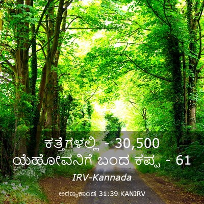 Picture 03 - ಅರಣ್ಯಕಾಂಡ 31:39 KANIRV - ಕತ್ತೆಗಳಲ್ಲಿ - 30,500 - Bible Verse Picture