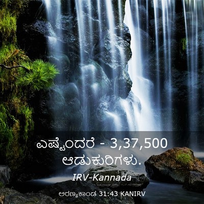 Picture 03 - ಅರಣ್ಯಕಾಂಡ 31:43 KANIRV - ಎಷ್ಟೆಂದರೆ - 3,37,500 - Bible Verse Picture