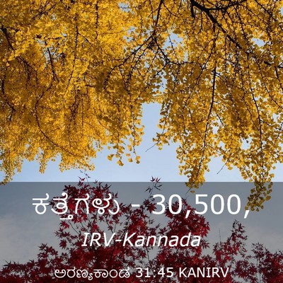 Picture 03 - ಅರಣ್ಯಕಾಂಡ 31:45 KANIRV - ಕತ್ತೆಗಳು - - Bible Verse Picture