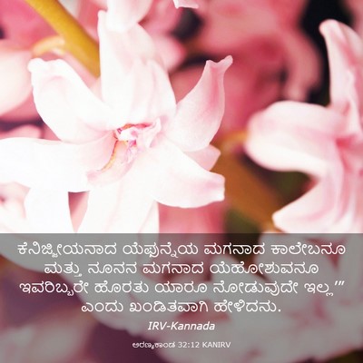 Picture 03 - ಅರಣ್ಯಕಾಂಡ 32:12 KANIRV - ಕೆನಿಜ್ಜೀಯನಾದ - Bible Verse Picture