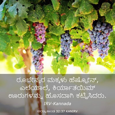 Picture 03 - ಅರಣ್ಯಕಾಂಡ 32:37 KANIRV - ರೂಬೇನ್ಯರ ಮಕ್ಕಳು - Bible Verse Picture