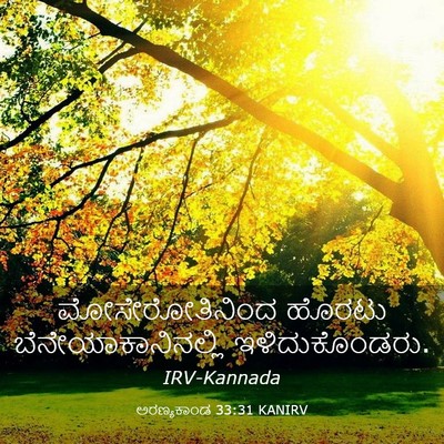Picture 03 - ಅರಣ್ಯಕಾಂಡ 33:31 KANIRV - ಮೋಸೇರೋತಿನಿಂದ - Bible Verse Picture