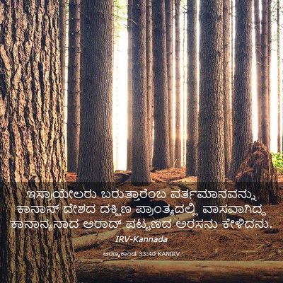Picture 03 - ಅರಣ್ಯಕಾಂಡ 33:40 KANIRV - ಇಸ್ರಾಯೇಲರು - Bible Verse Picture
