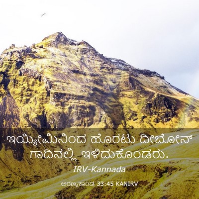 Picture 03 - ಅರಣ್ಯಕಾಂಡ 33:45 KANIRV - ಇಯ್ಯೀಮಿನಿಂದ ಹೊರಟು - Bible Verse Picture